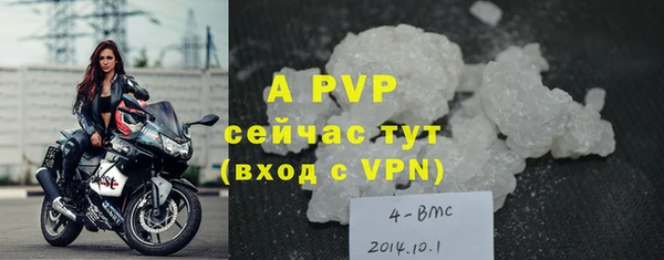 a pvp Алзамай