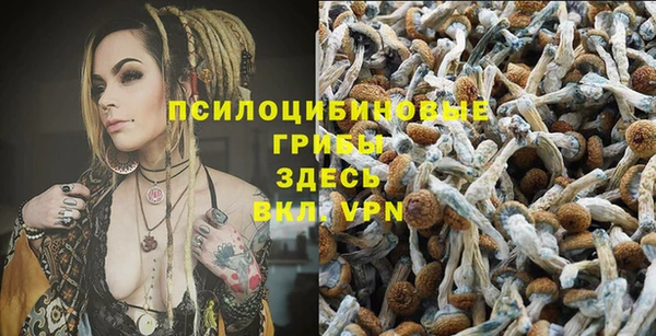 a pvp Алзамай