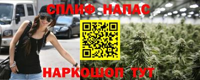 МДПВ Заводоуковск